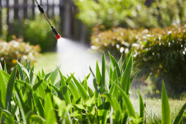 24/7 Emergency Wasp Removal experts in Magnolia, OH
