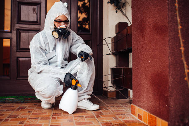 Reliable Wasp Removal contractor in Magnolia, OH by Show Me Pest Control